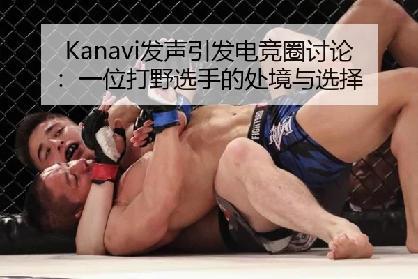 Kanavi发声引发电竞圈讨论：一位打野选手的处境与选择